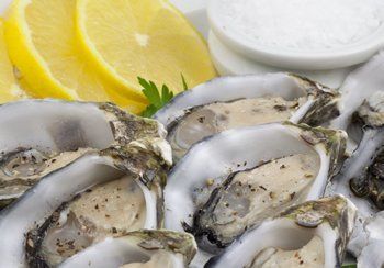 Fresh oysters on the half shell with lemon wedges and a dish of salt.