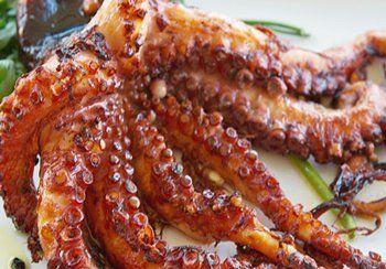 Grilled octopus on a white plate, reddish-brown with visible suckers.