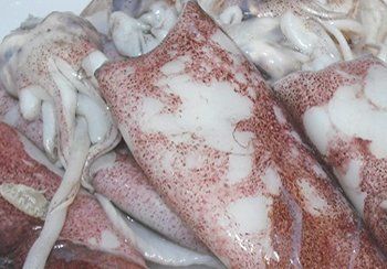 Close-up of raw squid, white and pink with mottled patterns, tentacles visible.
