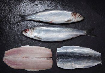 Whole and filleted herring on a dark surface, showing silver-blue sides and pinkish flesh.