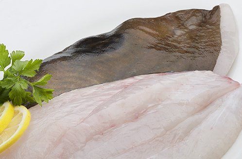 Raw, flatfish fillets with lemon slices and parsley garnish.