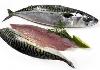 Whole mackerel and fillet with pink flesh, prepared with garnish.