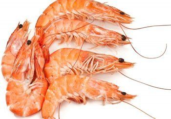 Cooked orange shrimp on a white surface, showing their curved bodies and antennae.