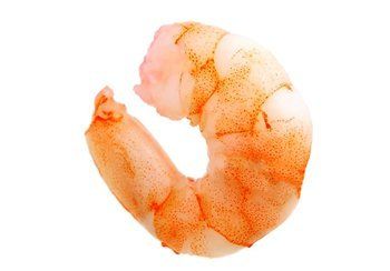 Cooked pink shrimp, curled, isolated on white background.