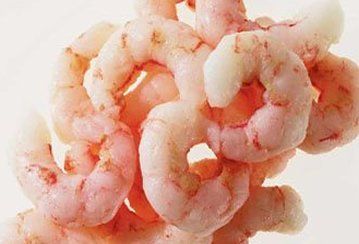 Cooked pink shrimp, tightly curled, piled on a white background.