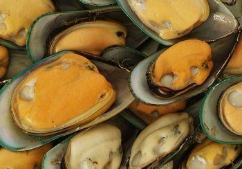 Open green mussel shells filled with orange-yellow seafood.