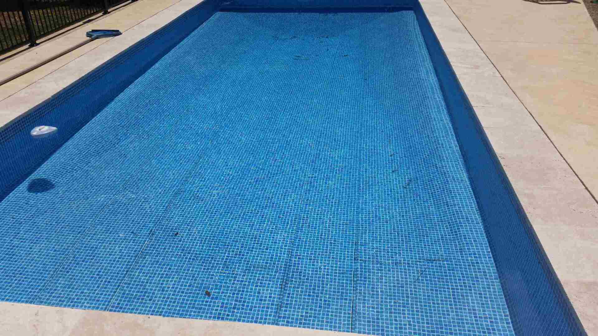 Find the best liner in Sydney