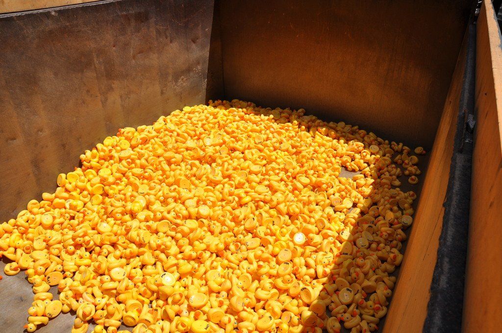 Truck with Full of Ducks | Athens, GA | Watson Trucking