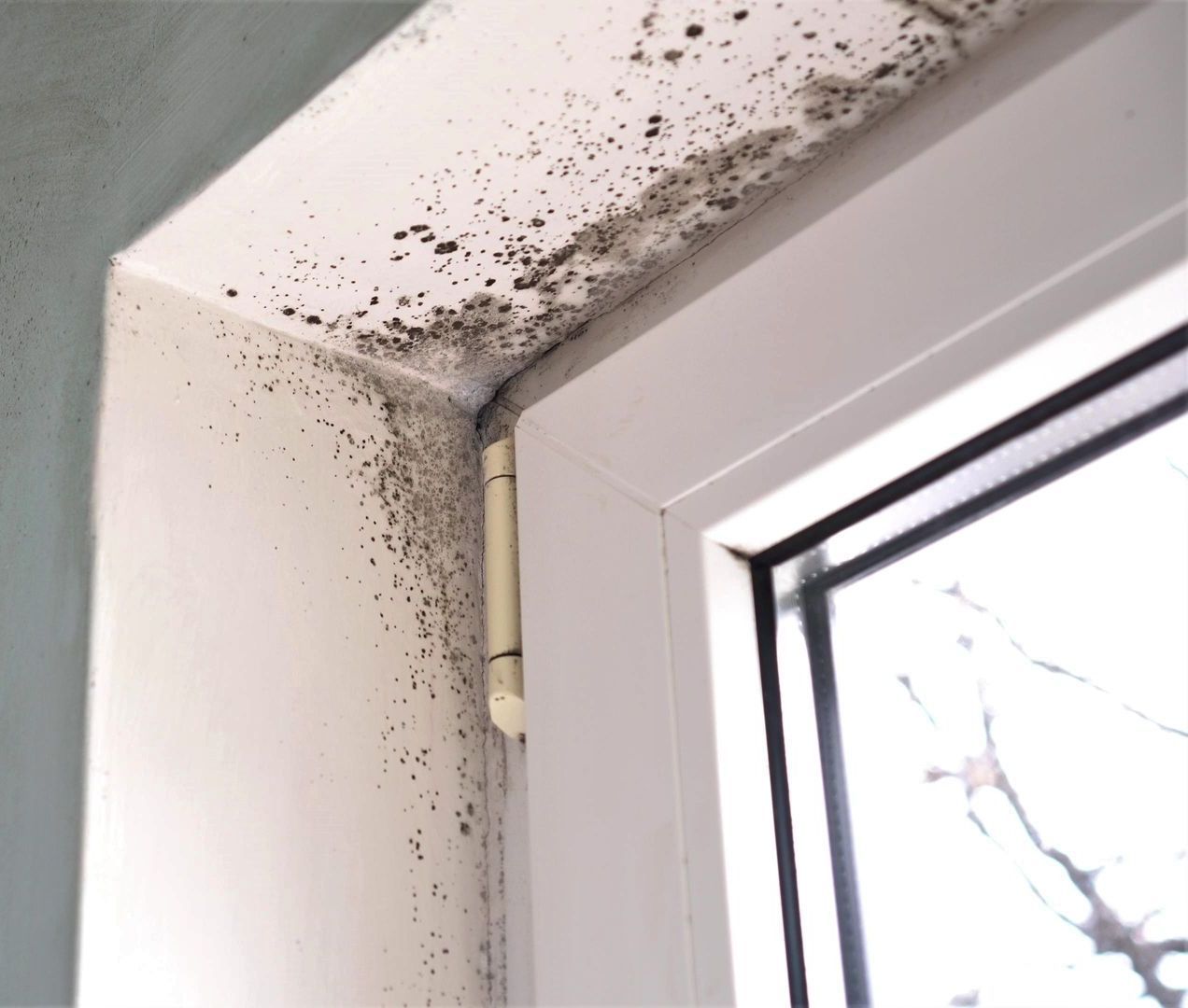 Mold and mildew can be stopped with fast service by our certified technicians.