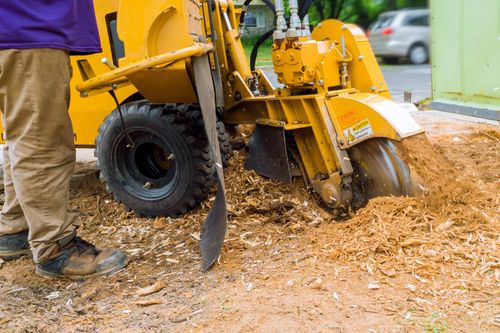 Yellow Machine Removing Tree Stump | Columbus, OH | Campos Tree Services