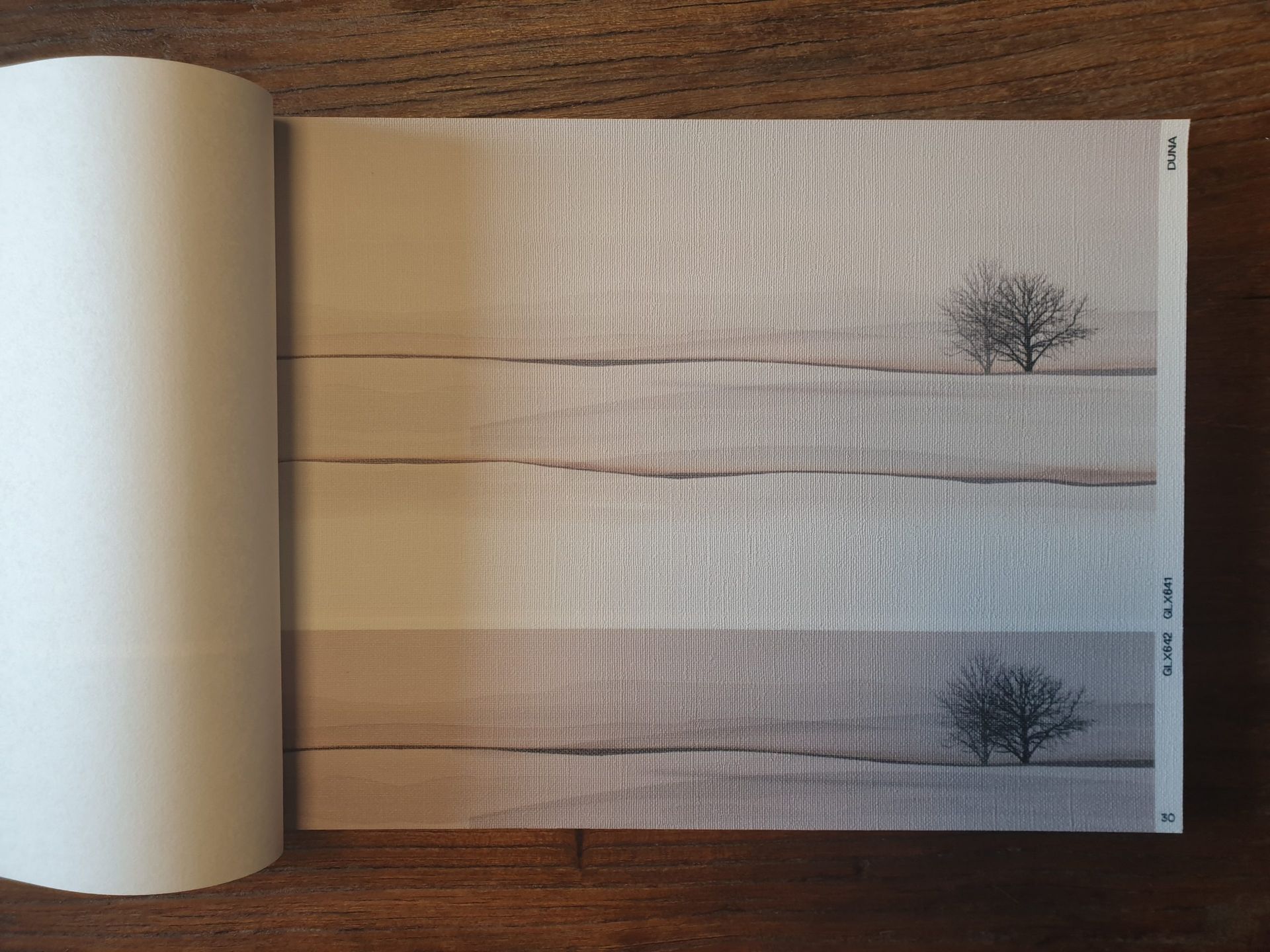 Ein Buch ist auf einer Seite aufgeschlagen, auf der ein Baum abgebildet ist