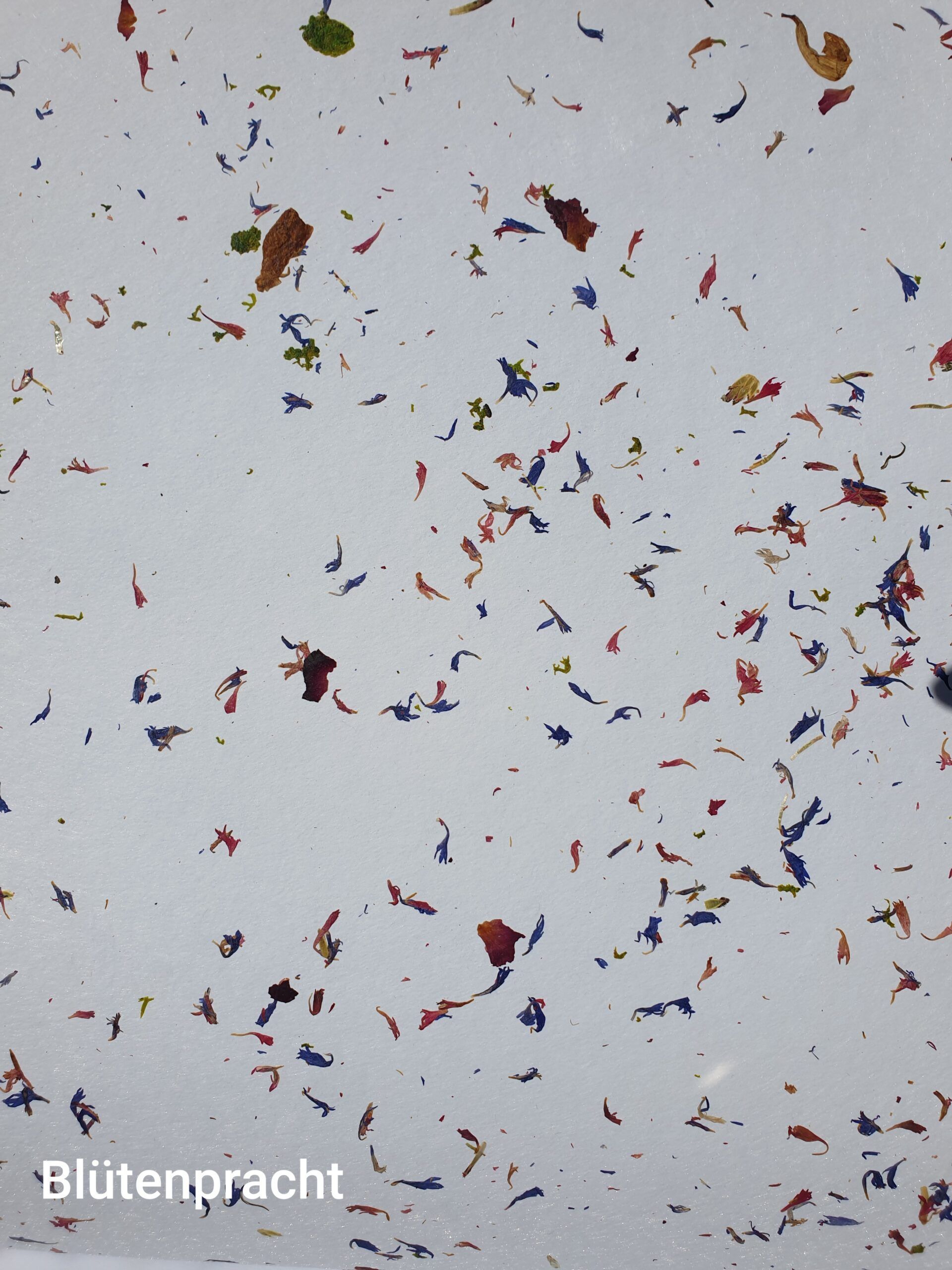 Eine Tapete mit verschiedenen Farben