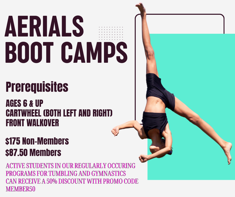 Aerial Boot Camp