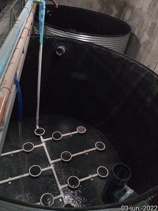 DISEÑO Y PUNTO FINO