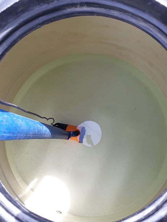 DISEÑO Y PUNTO FINO