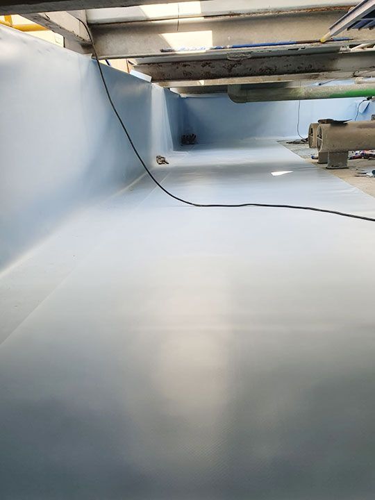 DISEÑO Y PUNTO FINO