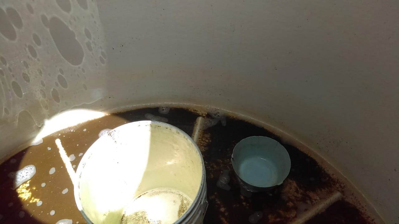 DISEÑO Y PUNTO FINO