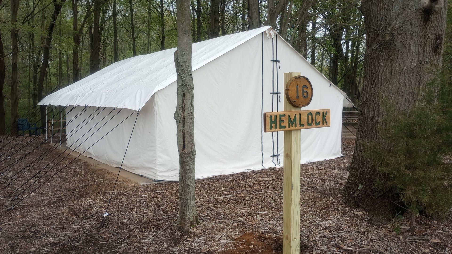 Back view of our Family Glamping tent Hemolock looking into the woods.