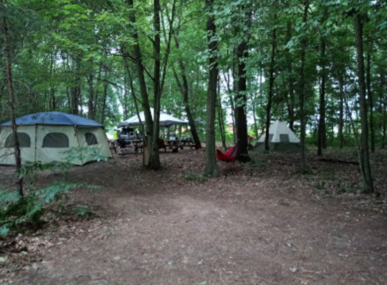 Group camping site in a natural clearing with several tents set up.