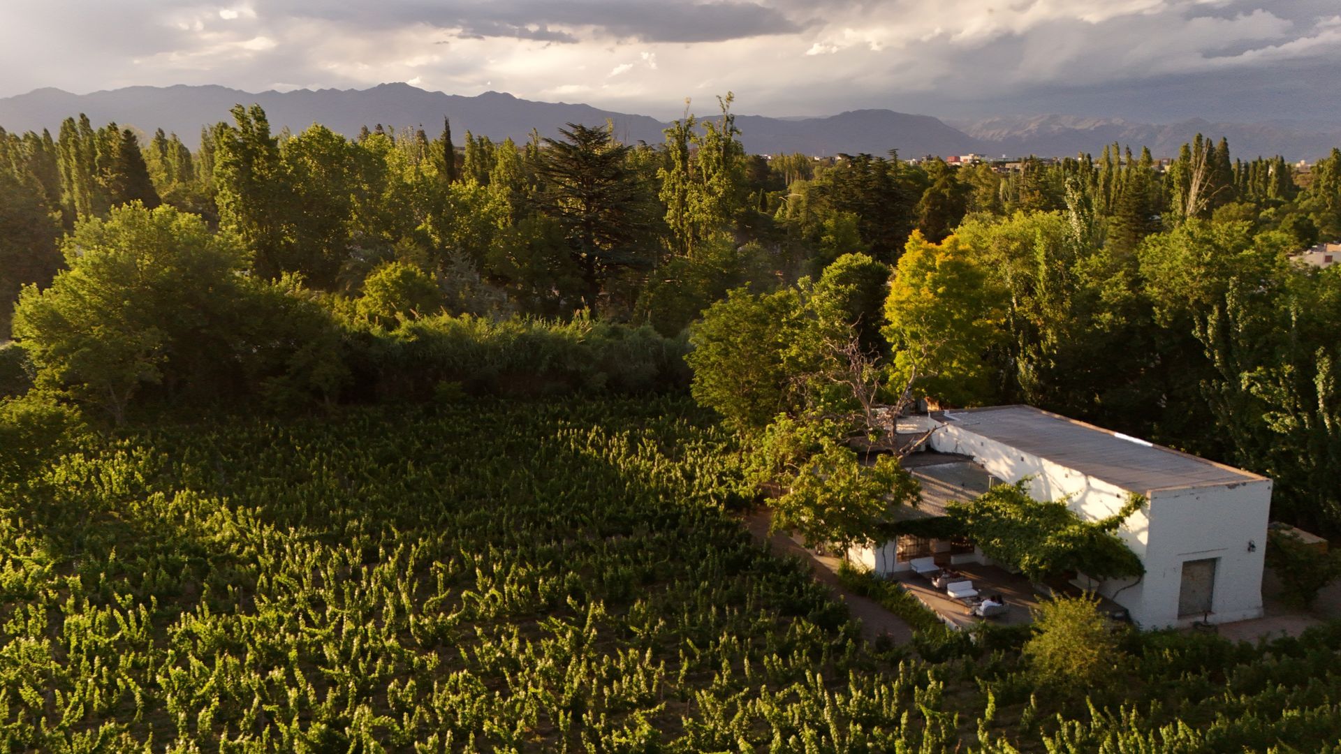 Dark wooden door with a sign that reads, "All happiness depends on a leisurely breakfast."