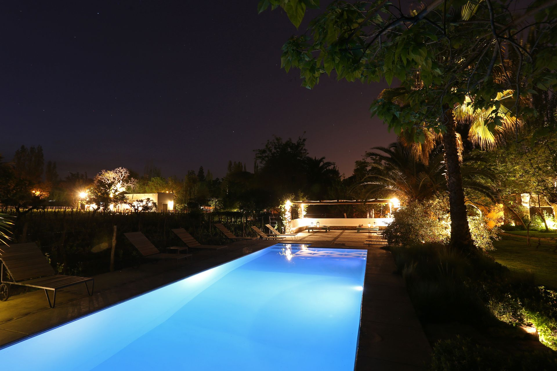 Nighttime view of a long, illuminated swimming pool with surrounding trees and lights under a dark sky.