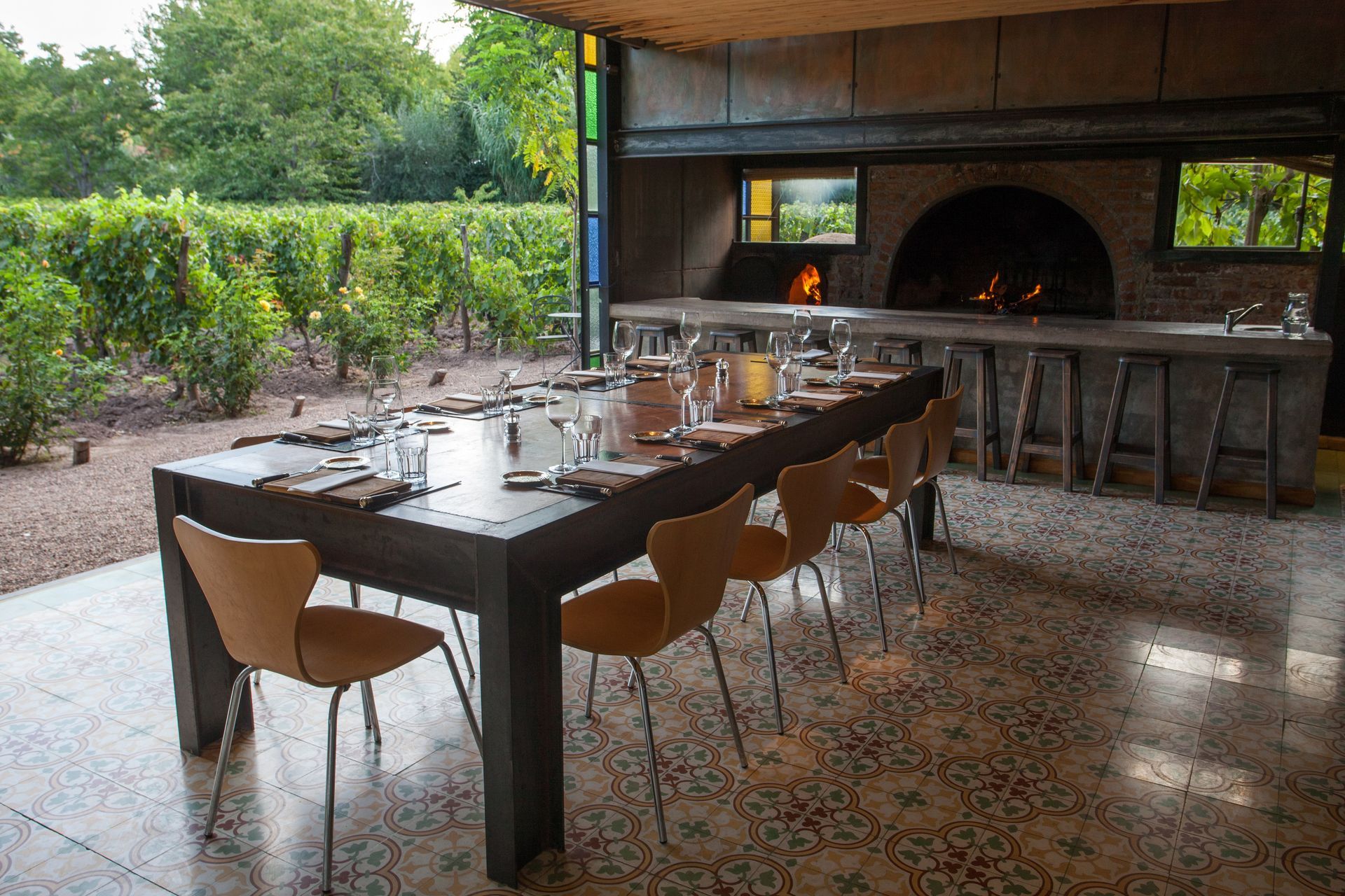 People relaxing at tables in front of a vineyard, a sunny day. Rows of grapevines stretch out to the horizon, tall trees.