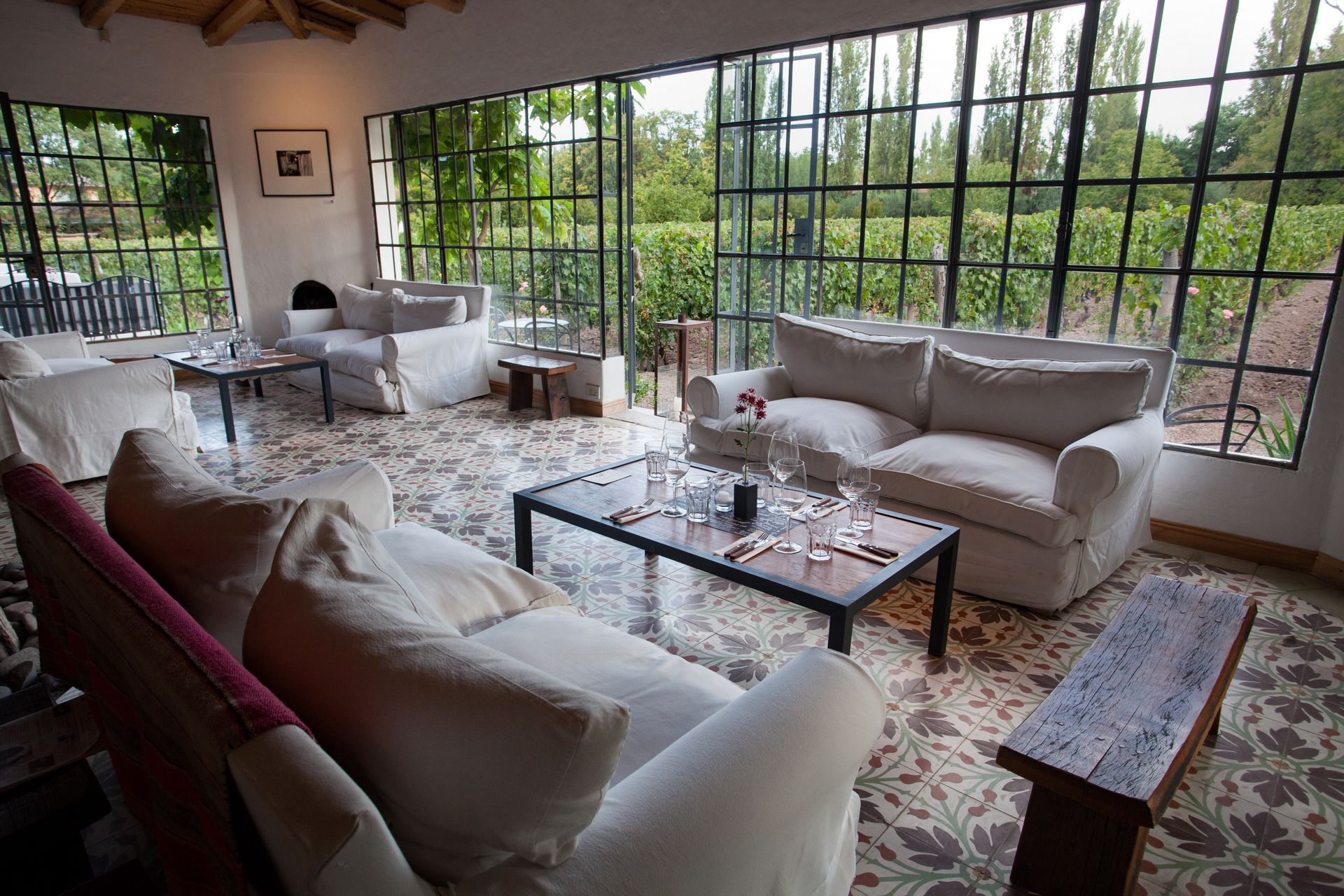 People relaxing at tables in front of a vineyard, a sunny day. Rows of grapevines stretch out to the horizon, tall trees.