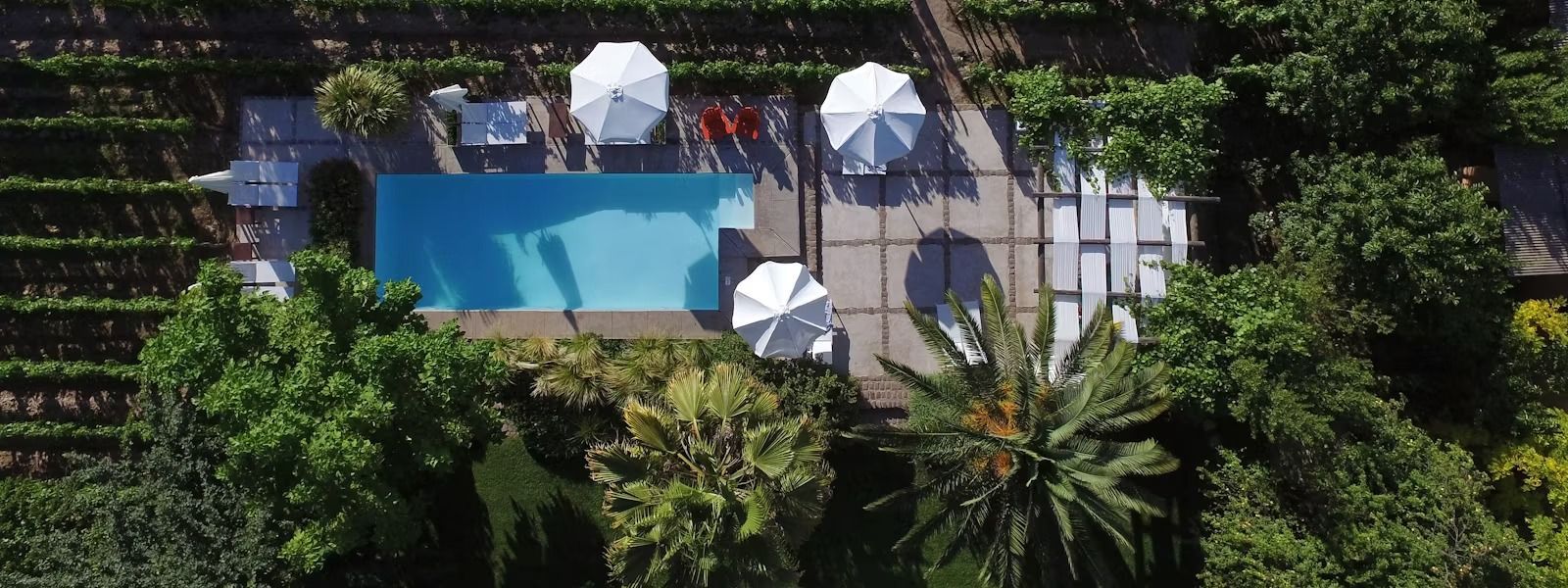 An aerial view of a rectangular pool surrounded by greenery, with white umbrellas, a patio, and neatly planted rows.