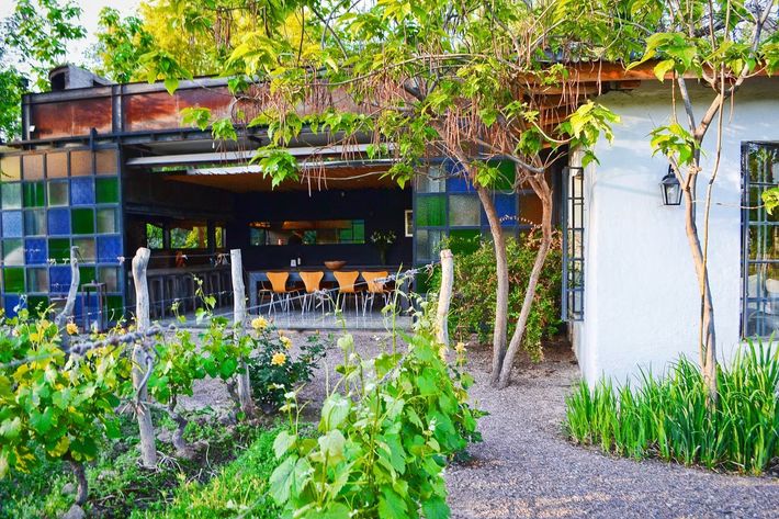 Outdoor restaurant with colorful stained glass, surrounded by greenery and gravel path.