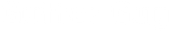 Gutter Guy