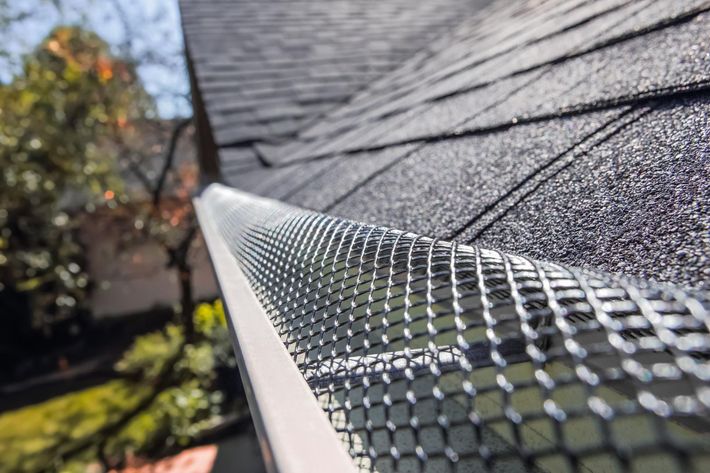 Gutter with black mesh guard installed under a dark gray shingle roof.