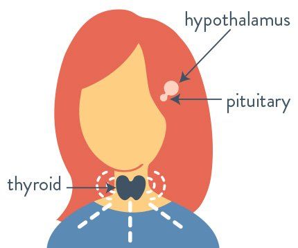 Hypothyroidism Symptoms