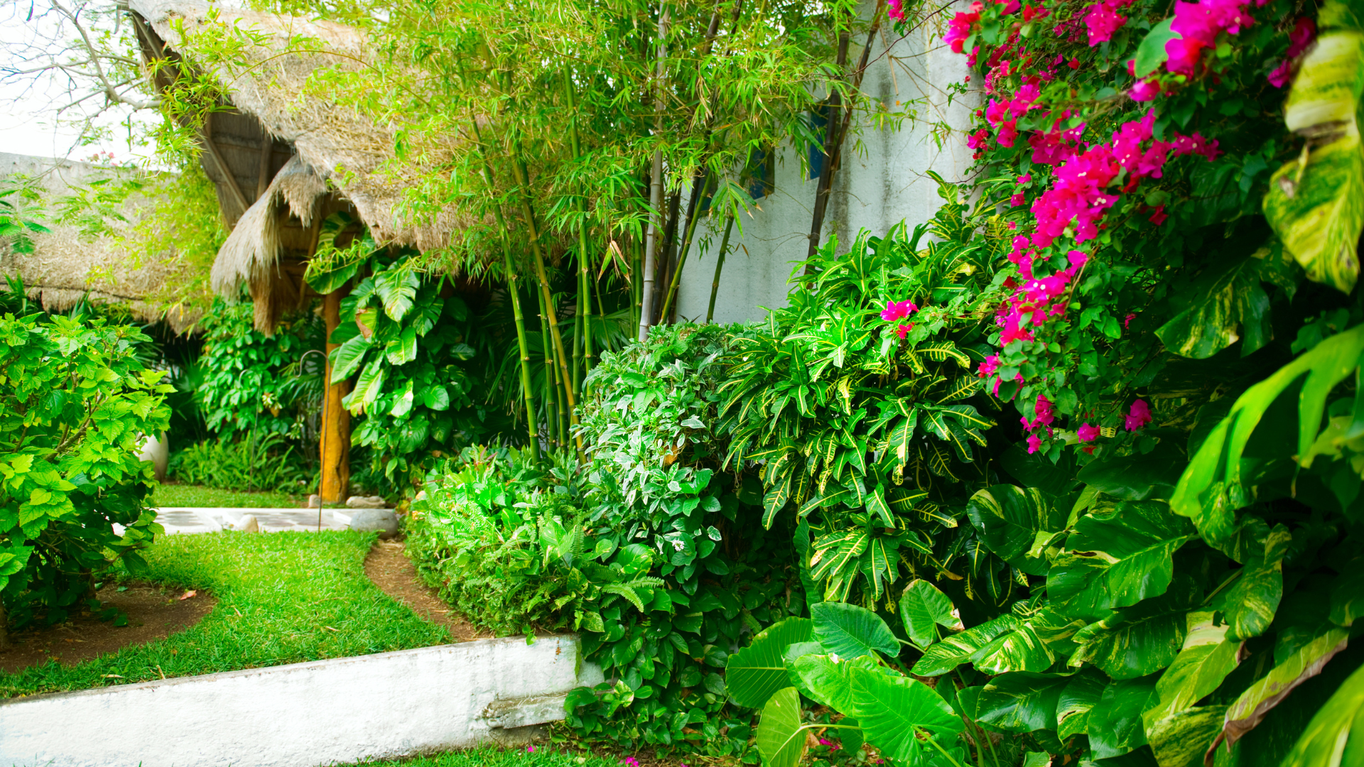 A garden with lots of plants and flowers and a thatched hut in the background.