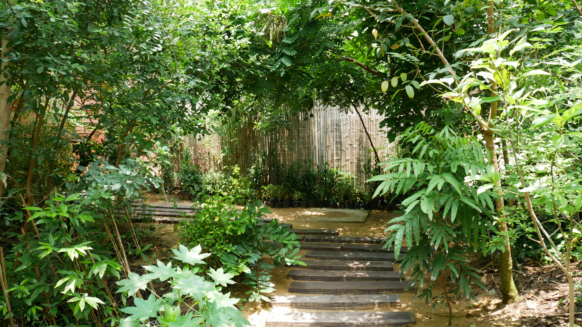 A path leading through a lush green forest with stairs.