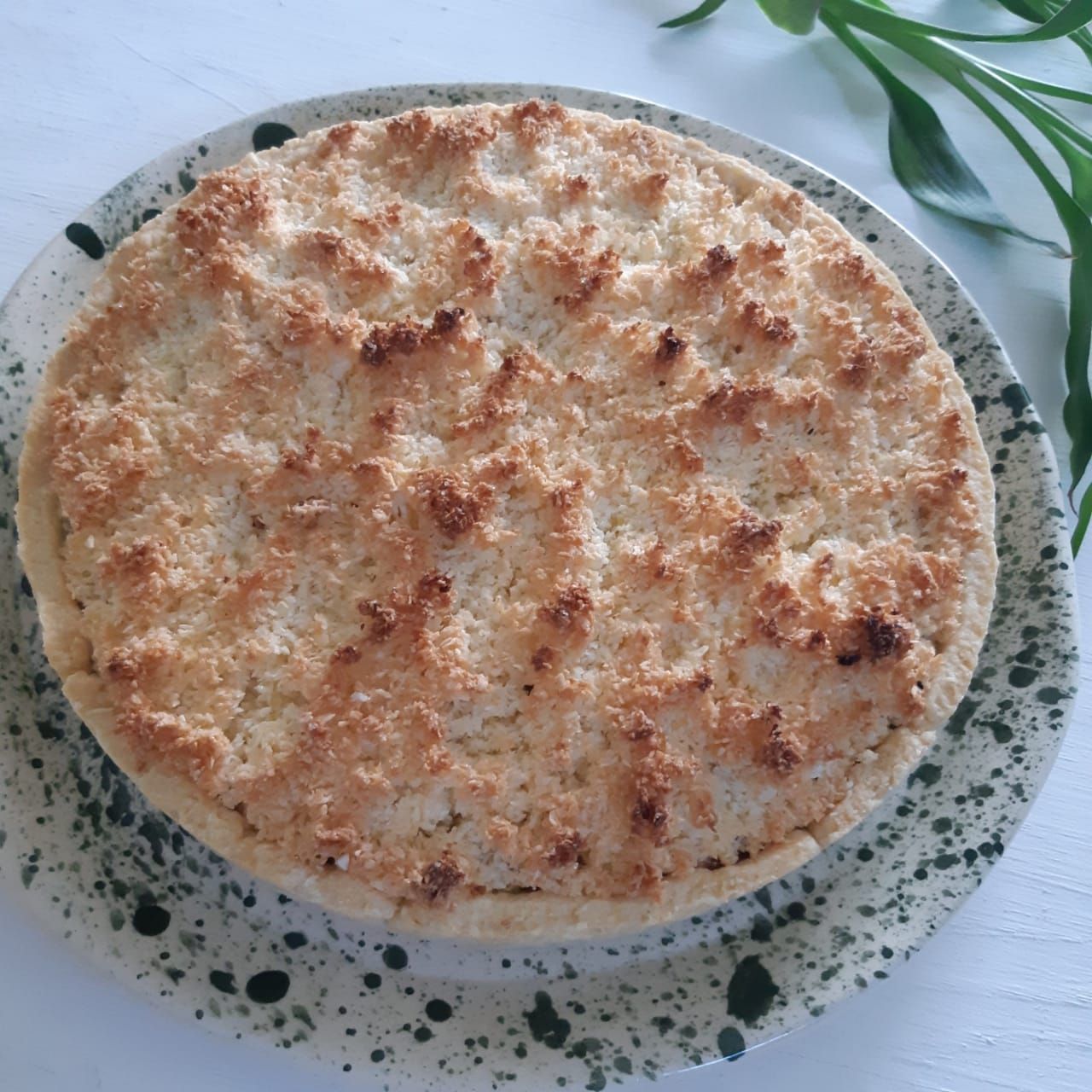 Tarta de  coco y dulce de leche