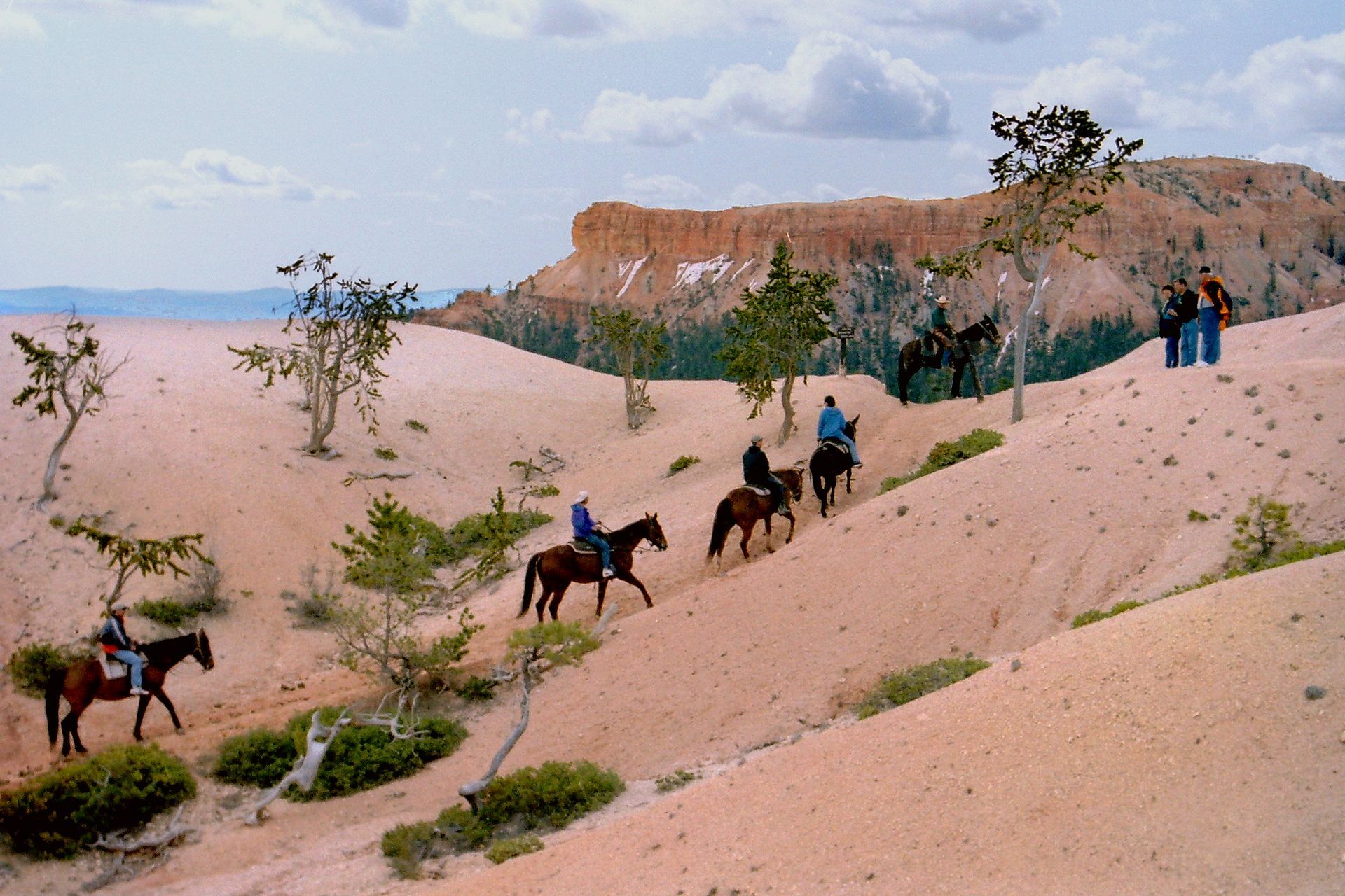 spring in bryce canyon