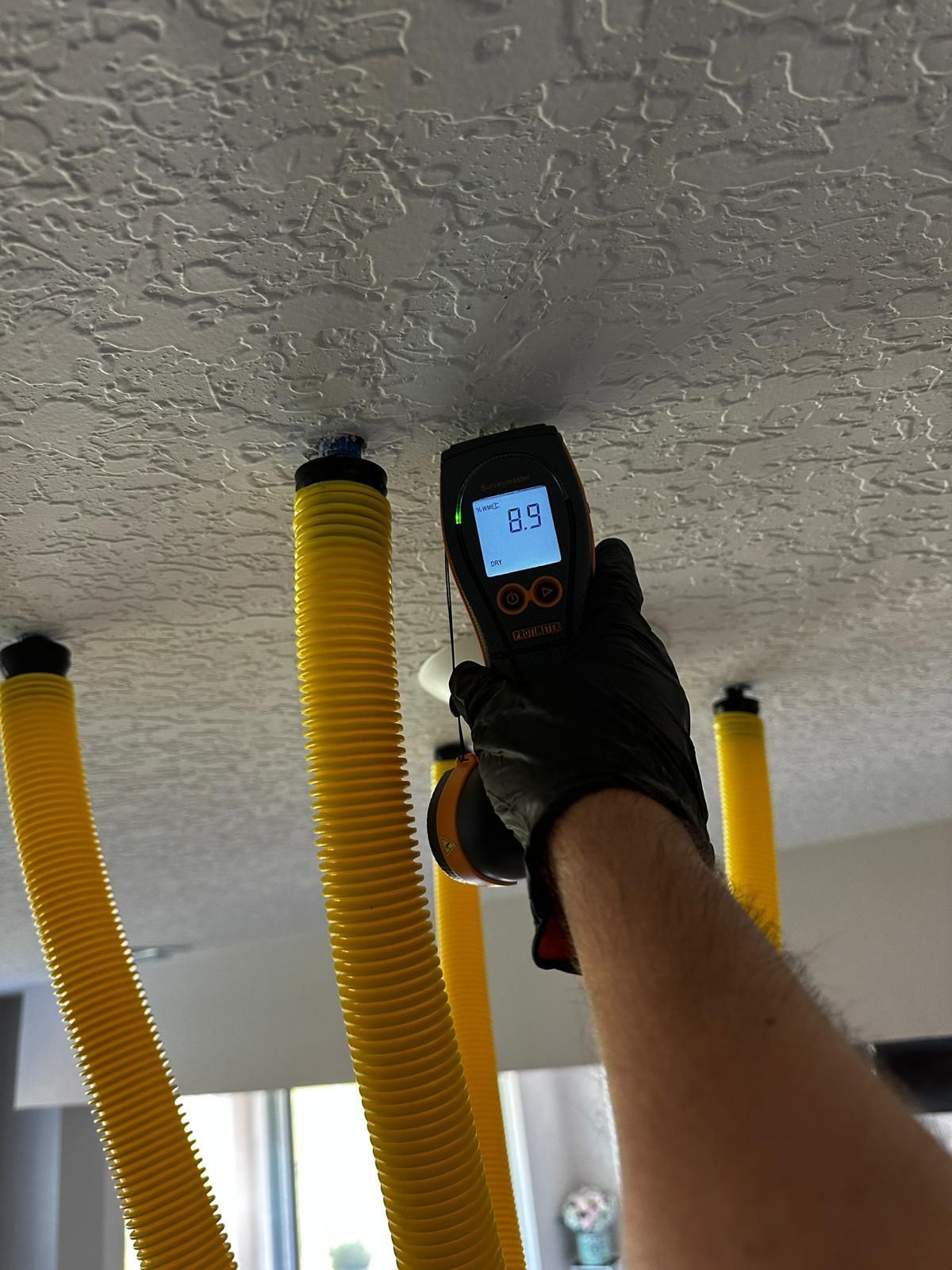 A person is measuring the temperature of a ceiling with a digital thermometer.