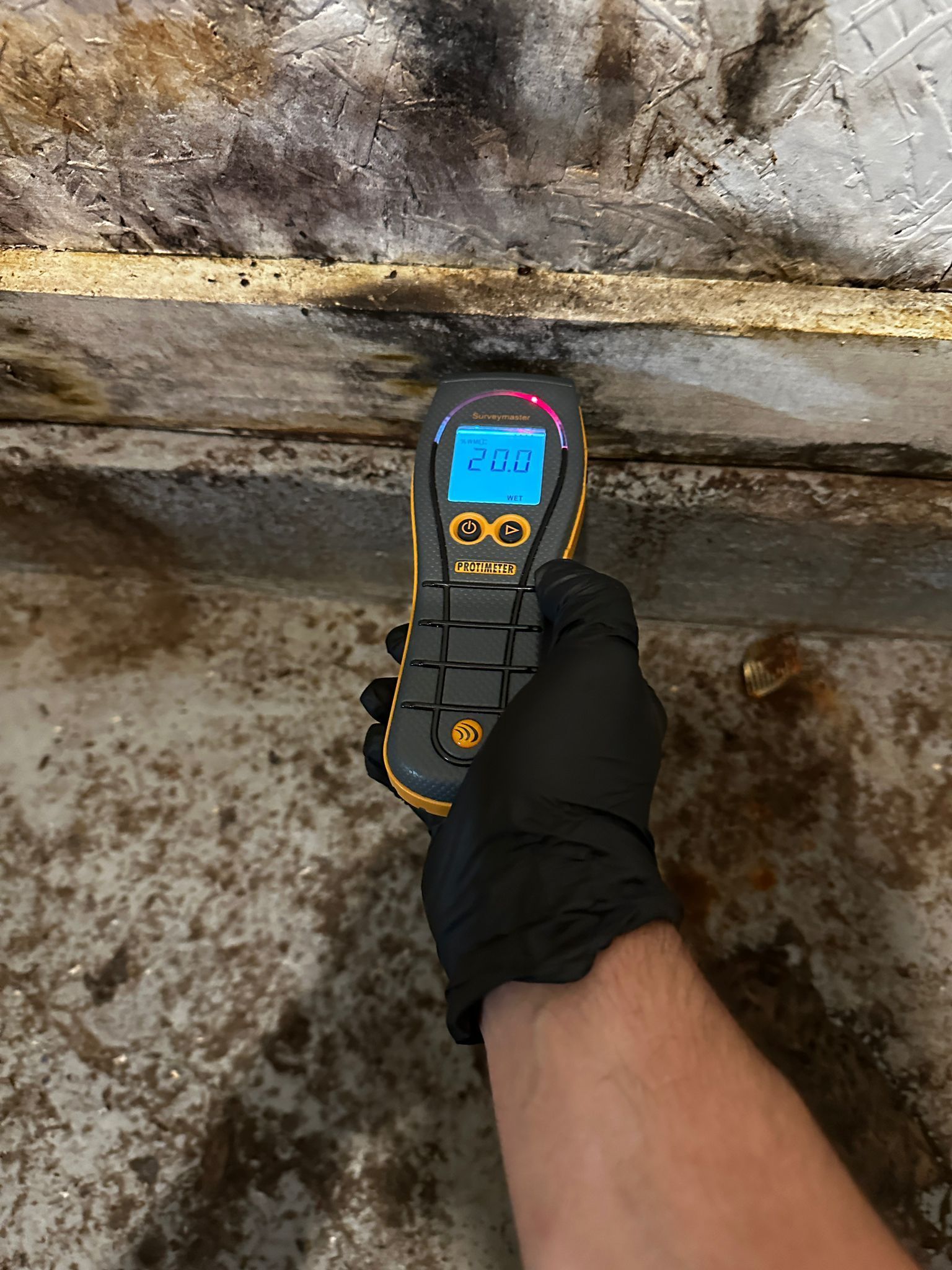 A person is holding a digital thermometer in their hand.