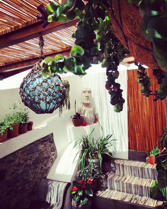 Glass fishing float and pukiki garden