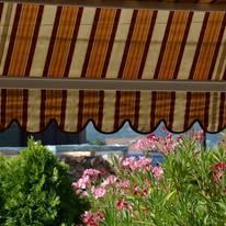 Striped awning over a garden with pink flowers and green bushes.