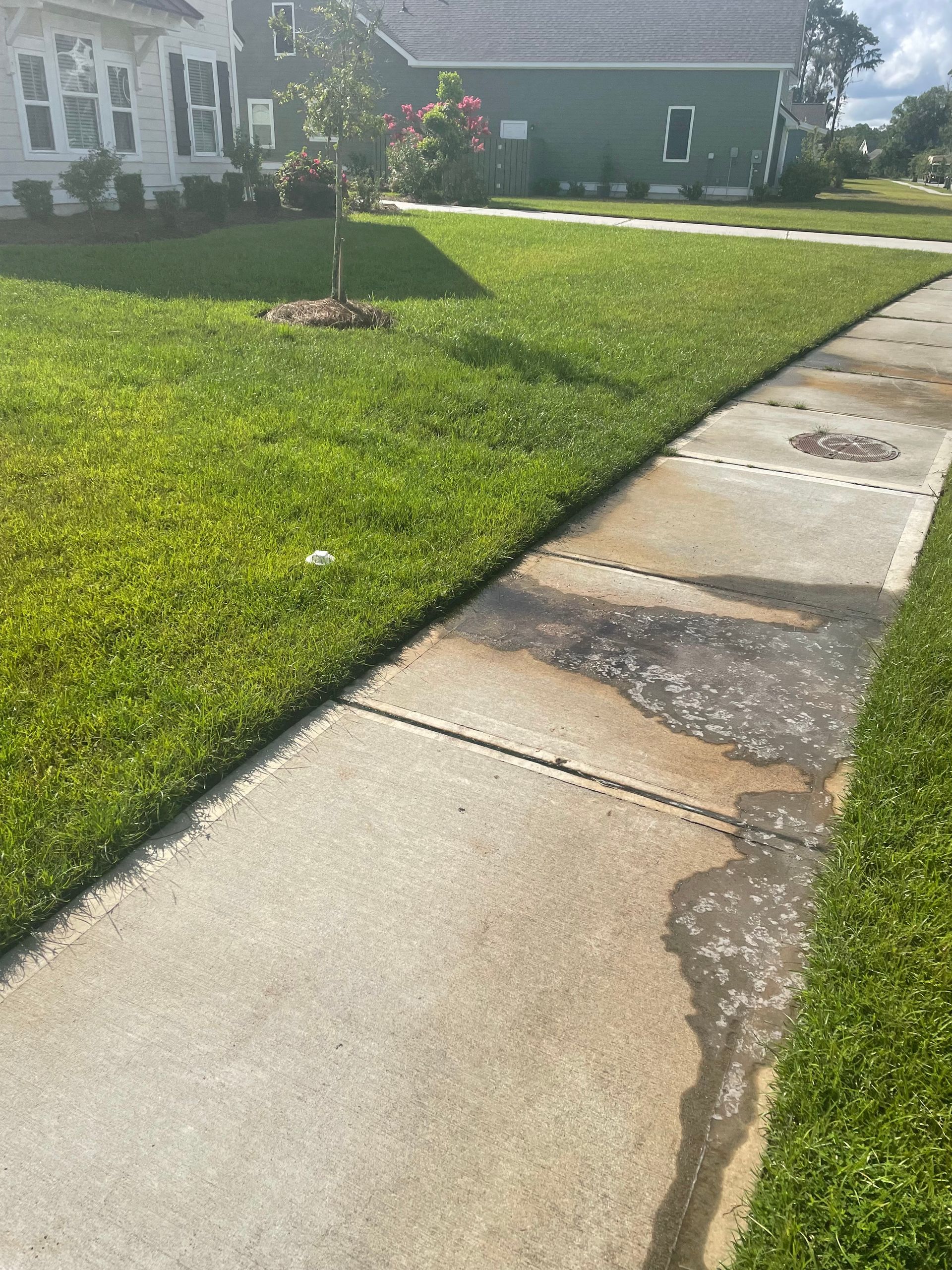 A concrete sidewalk next to a lush green lawn in front of a house.