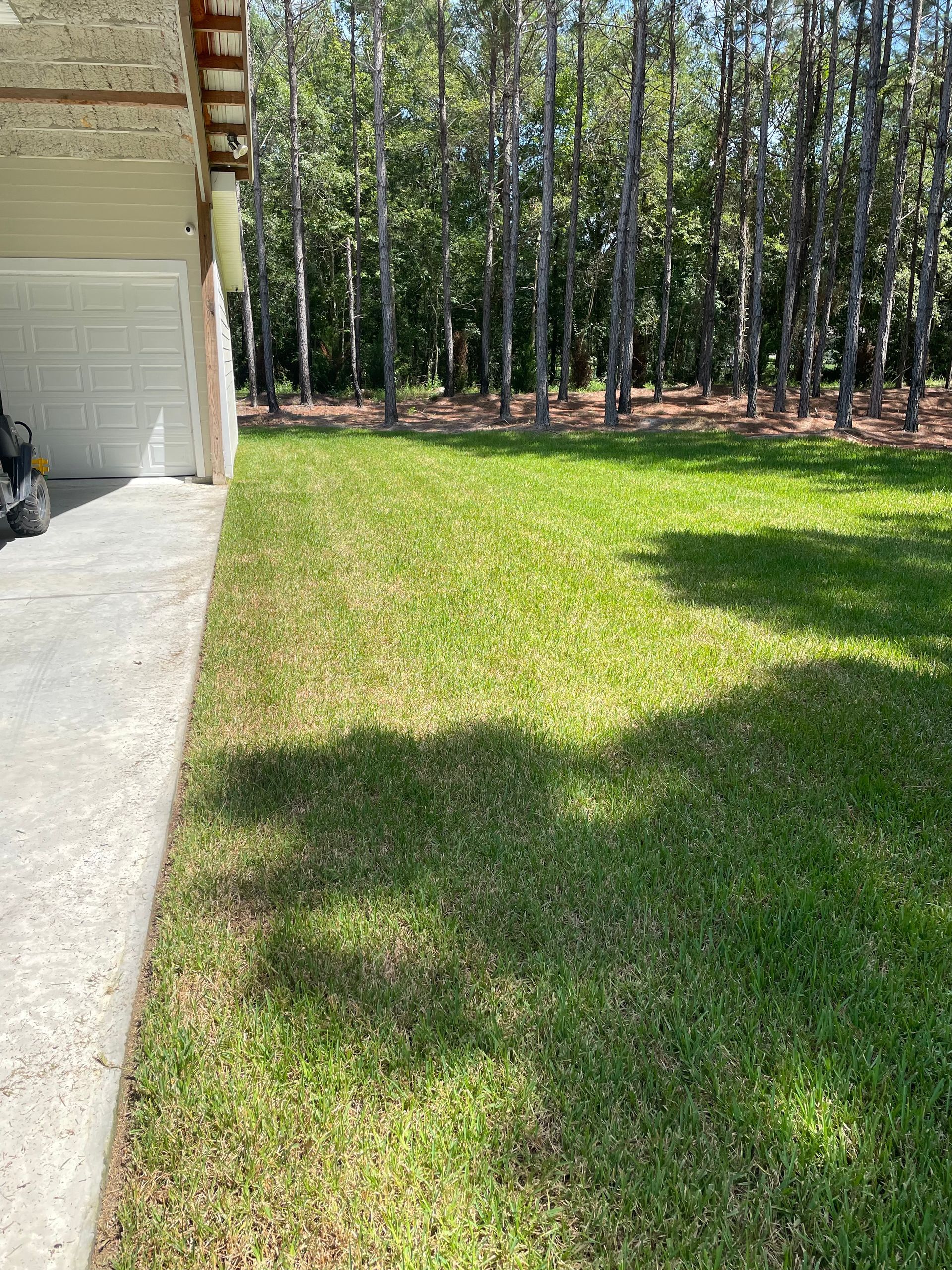 A lush green lawn next to a garage with trees in the background.
