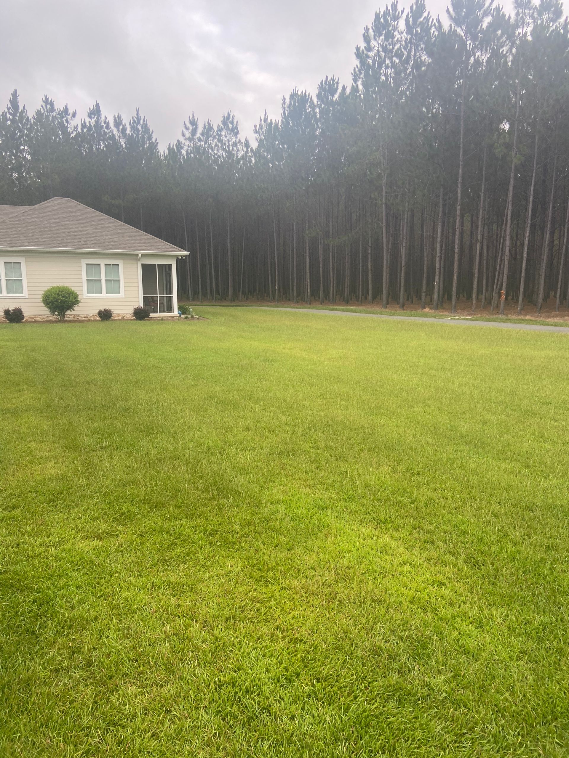 A house with a large lawn in front of it and trees in the background.
