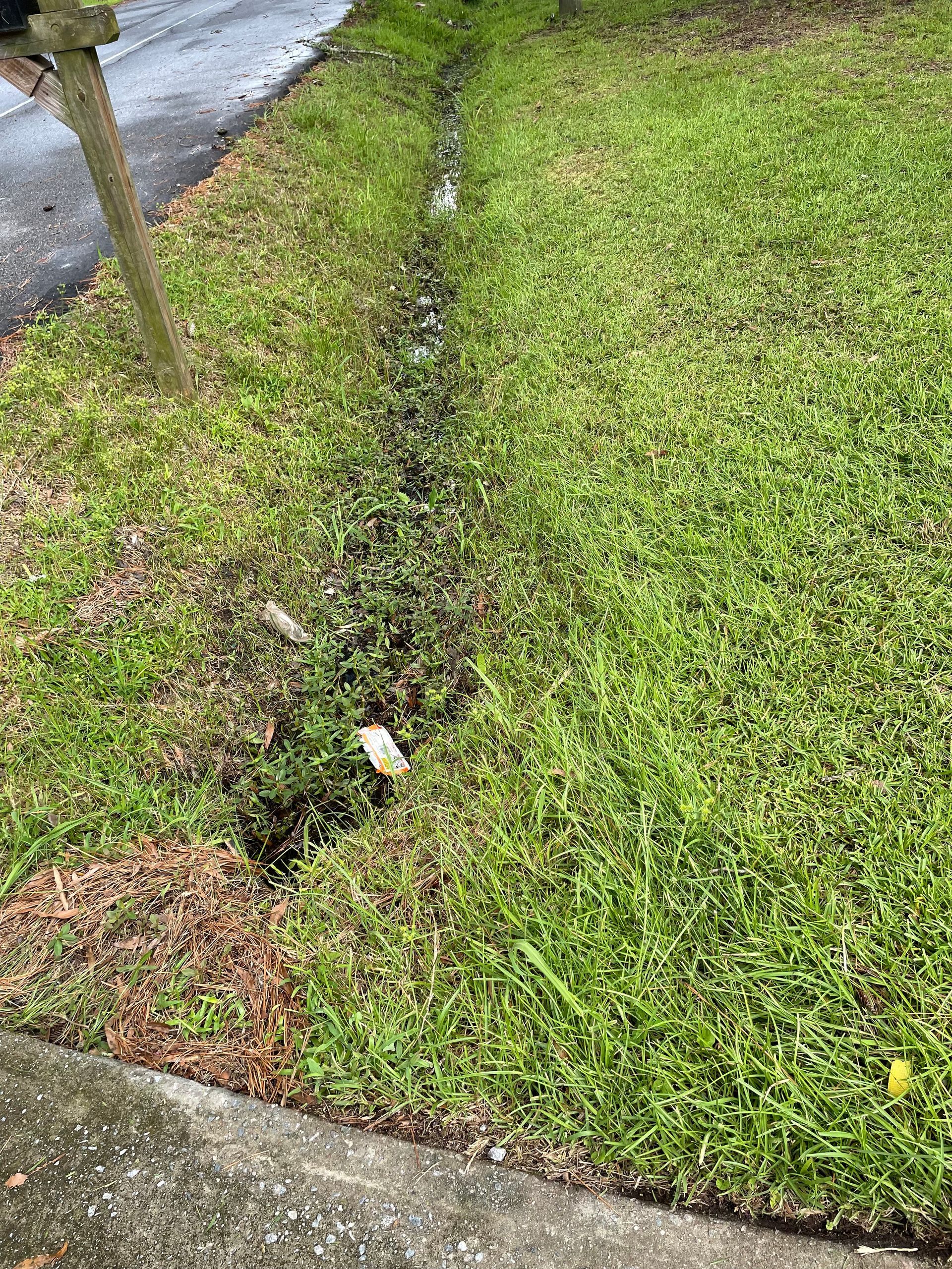 A drain in the grass next to a sidewalk and a tree.