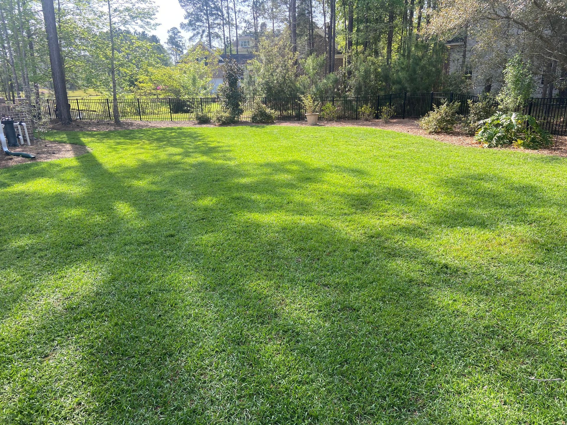 A large lush green lawn with trees in the background.