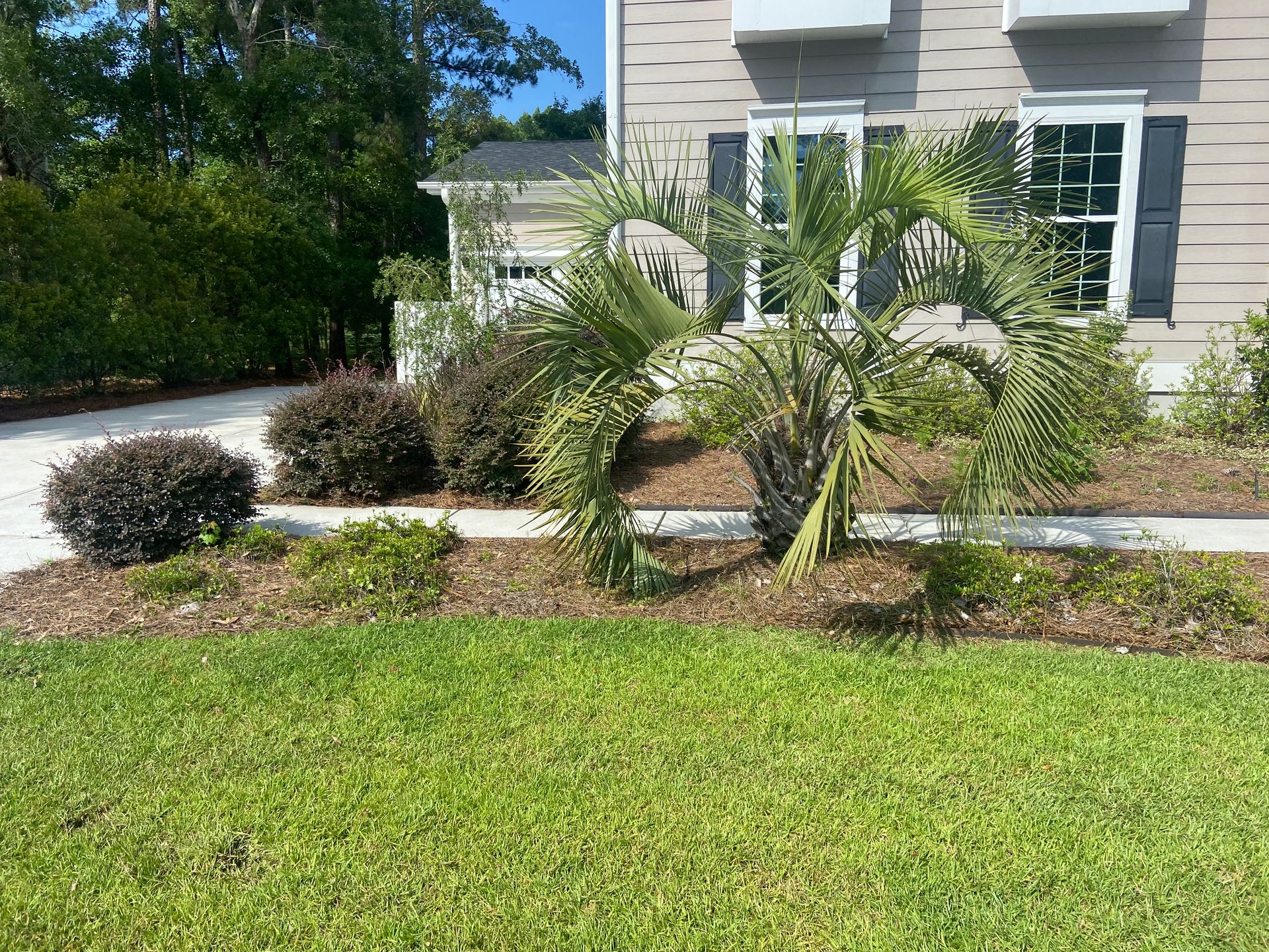 A house with a lot of plants in front of it