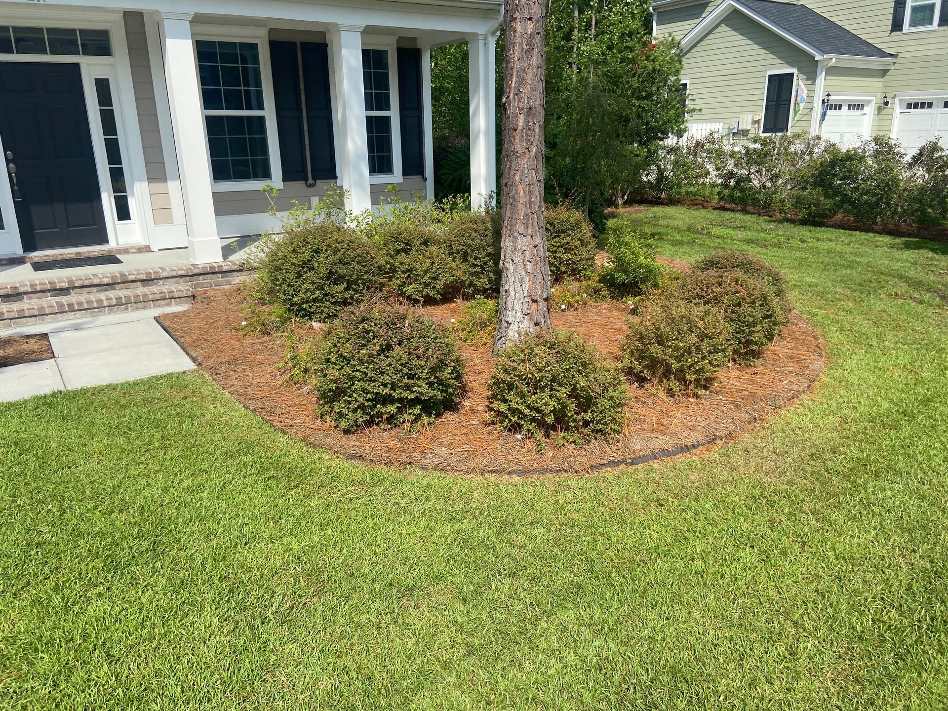 A lush green lawn with a tree in the middle of it in front of a house.