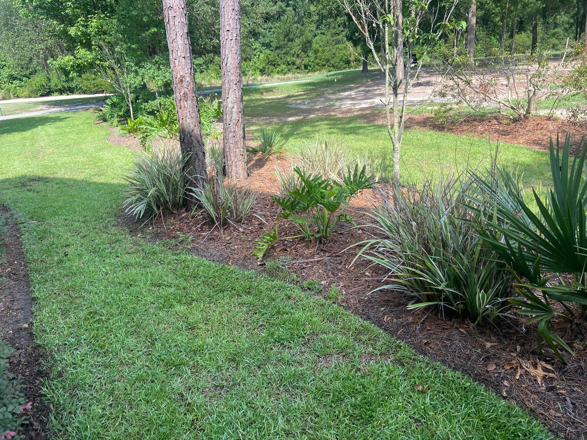 A lush green lawn with trees and bushes in the background.