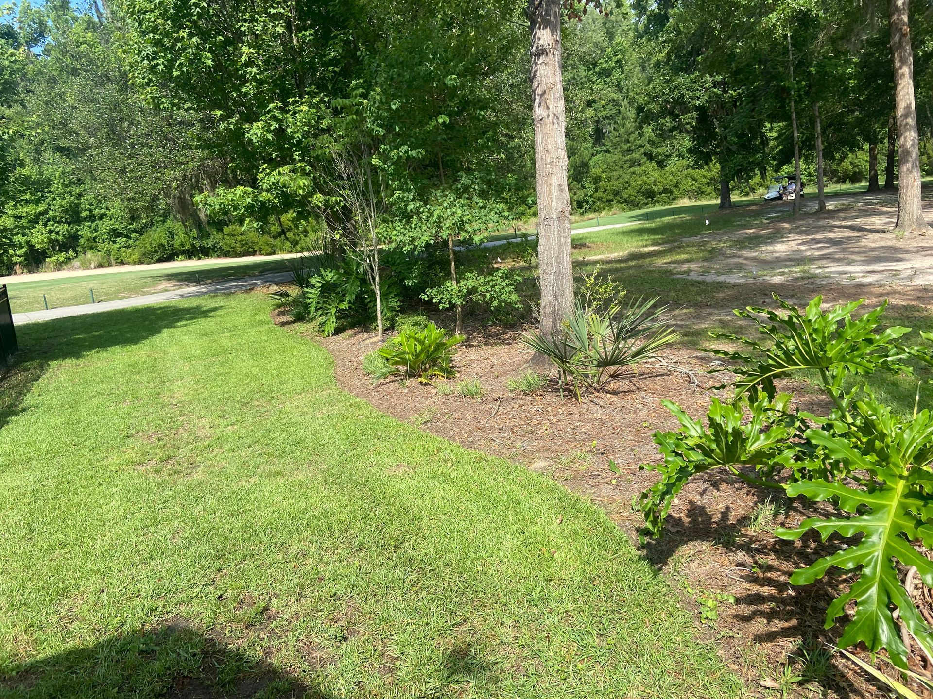 A lush green lawn surrounded by trees and bushes in a park.