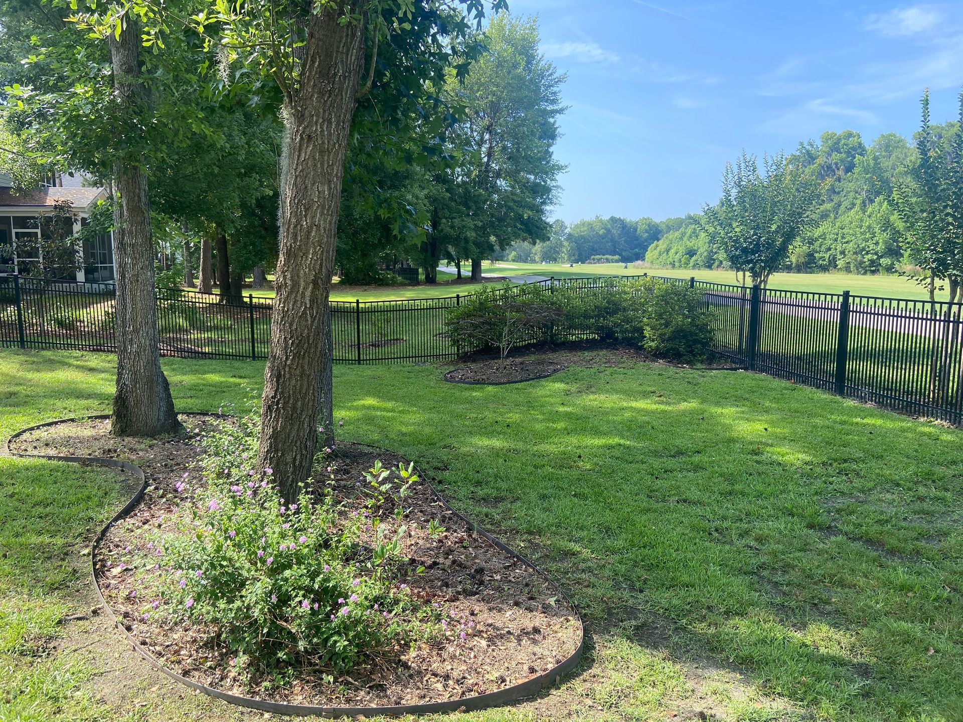 A lush green yard with trees and bushes and a fence.